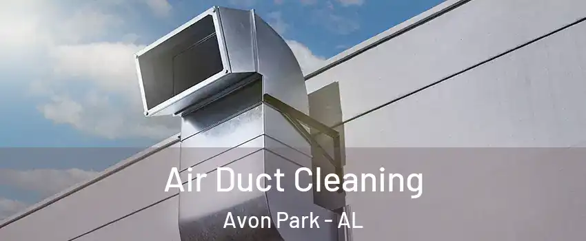Air Duct Cleaning Avon Park - AL
