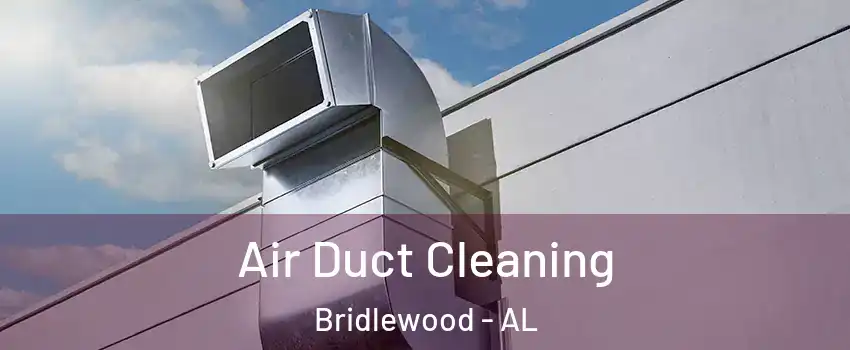 Air Duct Cleaning Bridlewood - AL