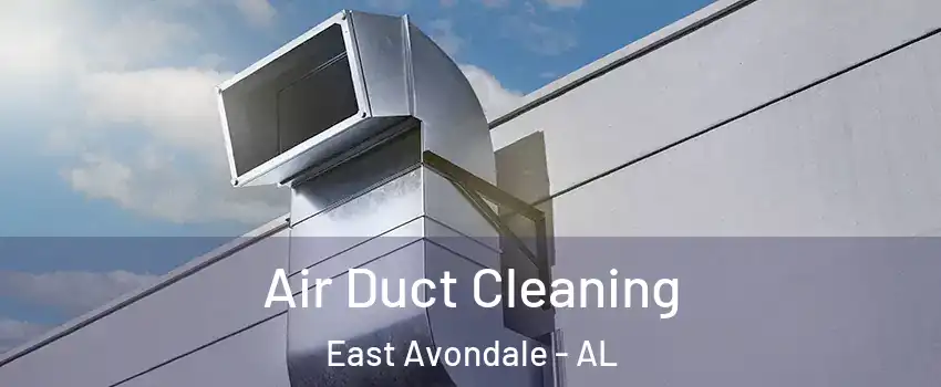 Air Duct Cleaning East Avondale - AL