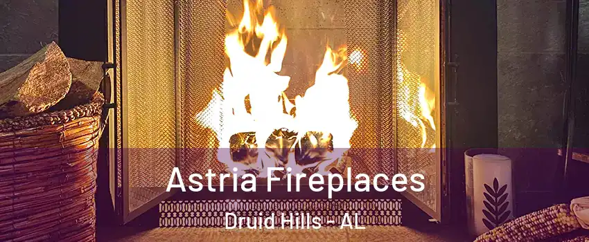 Astria Fireplaces Druid Hills - AL