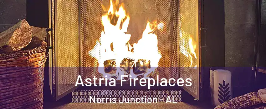 Astria Fireplaces Norris Junction - AL
