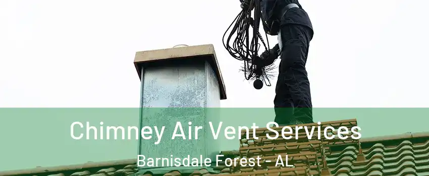 Chimney Air Vent Services Barnisdale Forest - AL