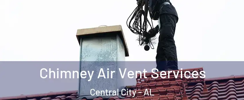 Chimney Air Vent Services Central City - AL