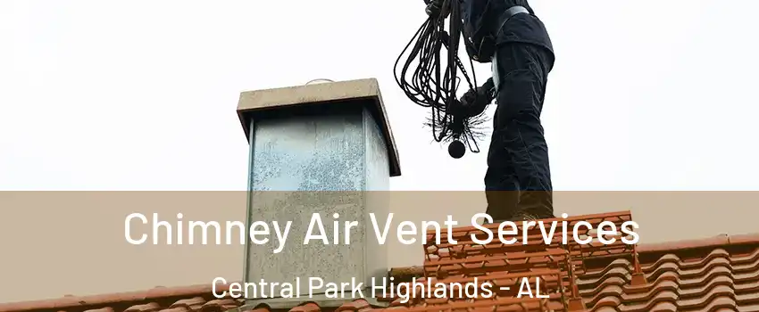 Chimney Air Vent Services Central Park Highlands - AL