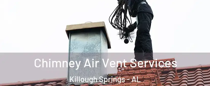 Chimney Air Vent Services Killough Springs - AL