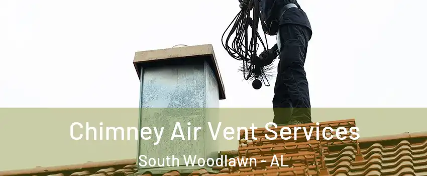 Chimney Air Vent Services South Woodlawn - AL