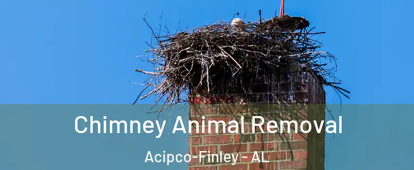 Chimney Animal Removal Acipco-Finley - AL