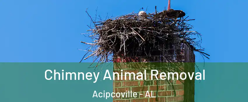 Chimney Animal Removal Acipcoville - AL