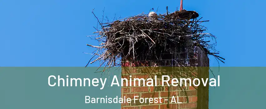 Chimney Animal Removal Barnisdale Forest - AL