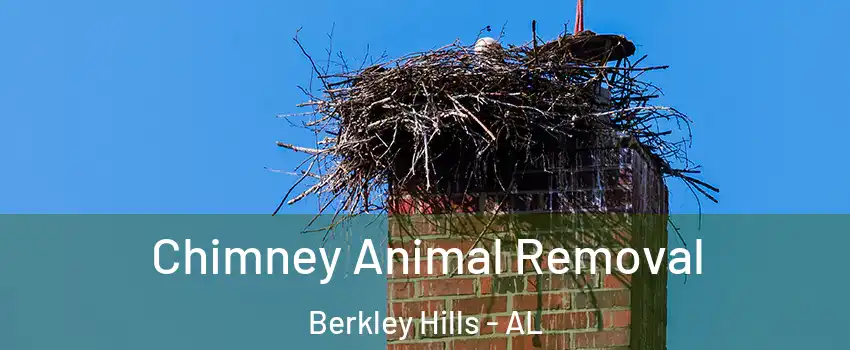 Chimney Animal Removal Berkley Hills - AL