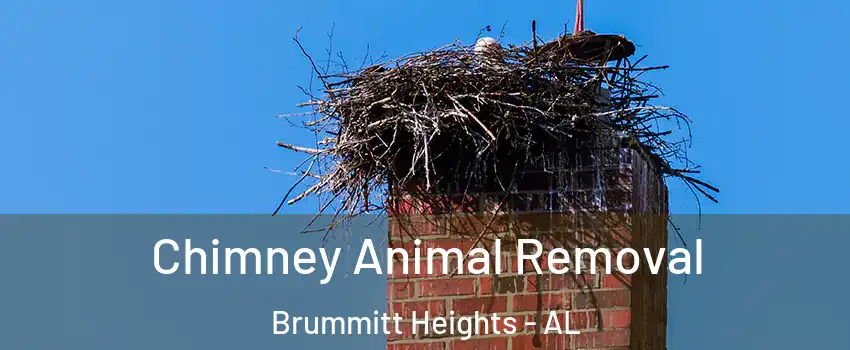 Chimney Animal Removal Brummitt Heights - AL