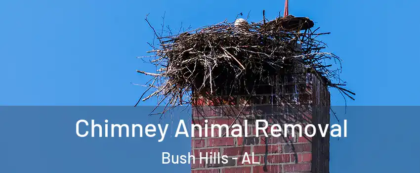 Chimney Animal Removal Bush Hills - AL