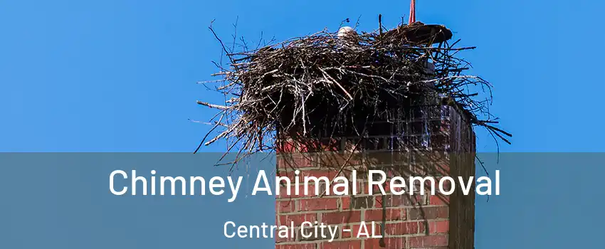 Chimney Animal Removal Central City - AL