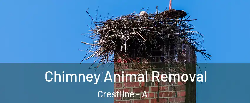 Chimney Animal Removal Crestline - AL