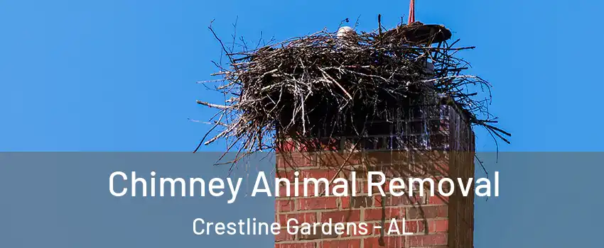 Chimney Animal Removal Crestline Gardens - AL