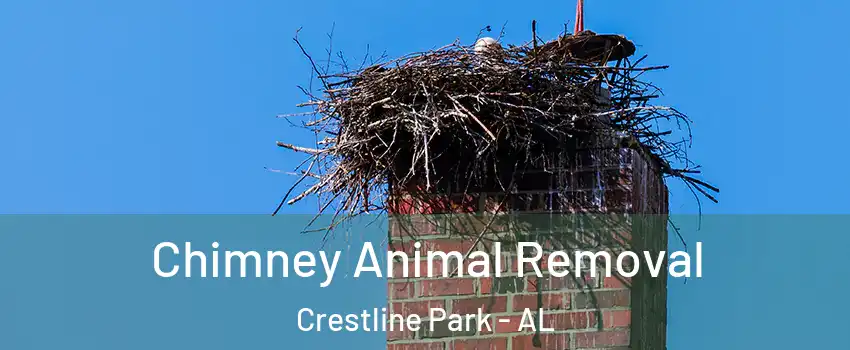 Chimney Animal Removal Crestline Park - AL