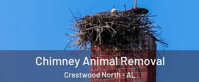 Chimney Animal Removal Crestwood North - AL