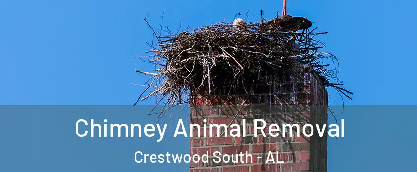Chimney Animal Removal Crestwood South - AL