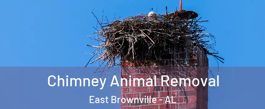 Chimney Animal Removal East Brownville - AL