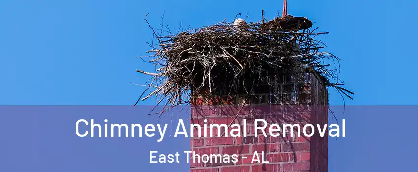 Chimney Animal Removal East Thomas - AL