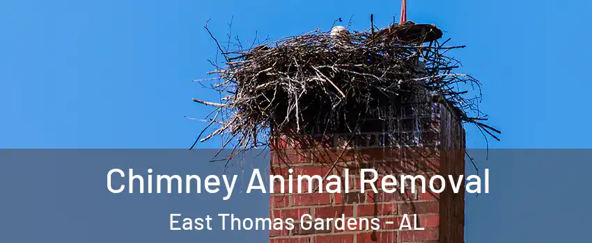 Chimney Animal Removal East Thomas Gardens - AL