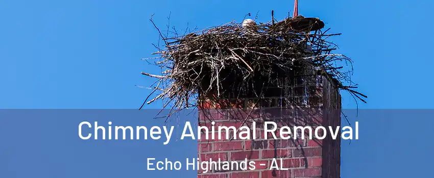 Chimney Animal Removal Echo Highlands - AL