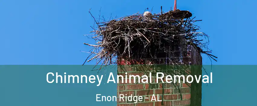 Chimney Animal Removal Enon Ridge - AL
