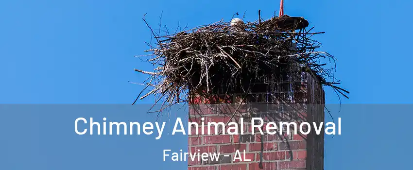 Chimney Animal Removal Fairview - AL
