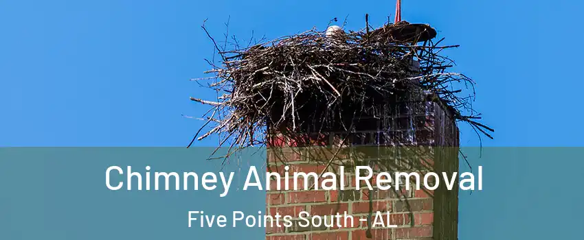 Chimney Animal Removal Five Points South - AL