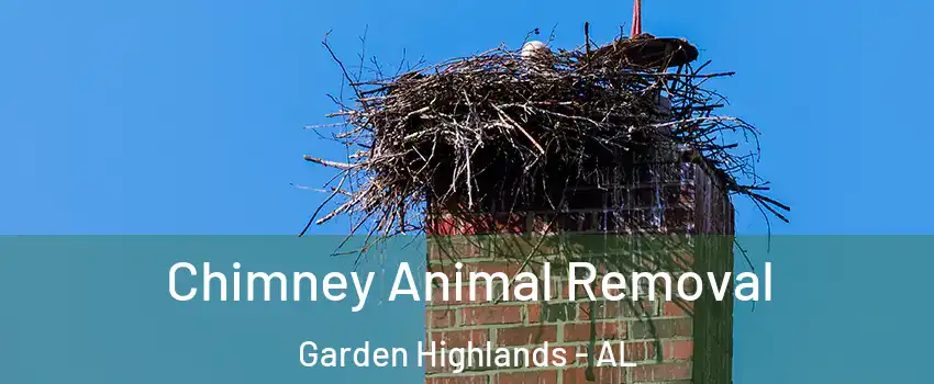 Chimney Animal Removal Garden Highlands - AL