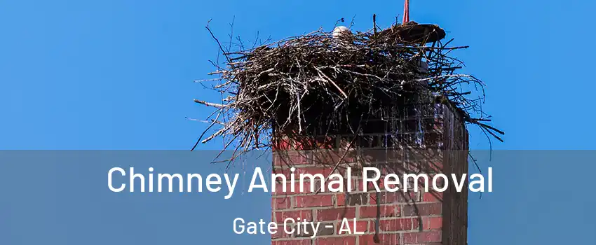 Chimney Animal Removal Gate City - AL