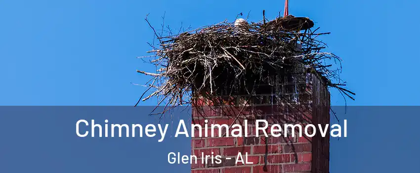 Chimney Animal Removal Glen Iris - AL