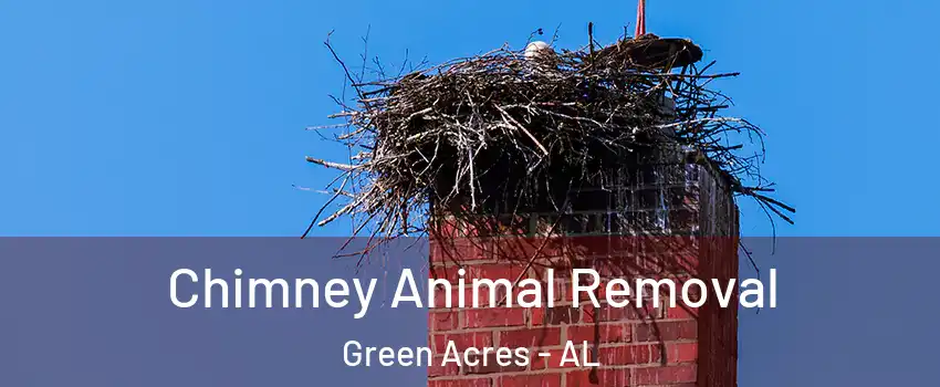 Chimney Animal Removal Green Acres - AL
