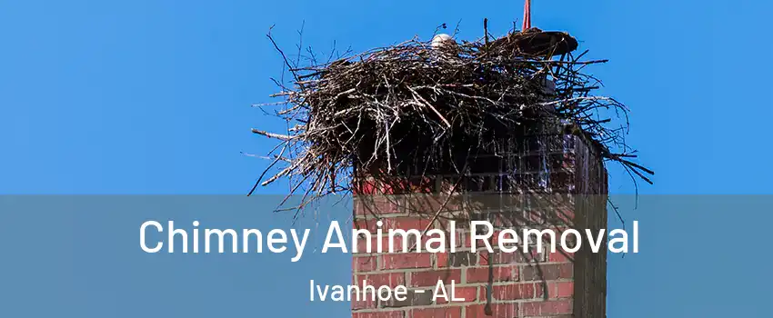 Chimney Animal Removal Ivanhoe - AL
