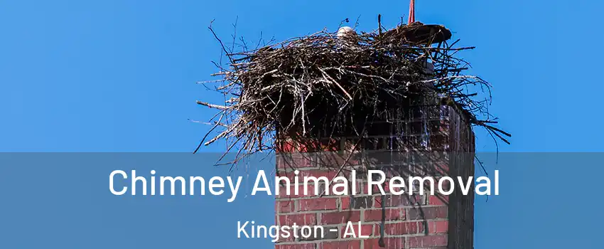 Chimney Animal Removal Kingston - AL