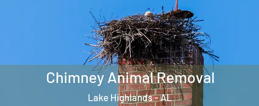 Chimney Animal Removal Lake Highlands - AL