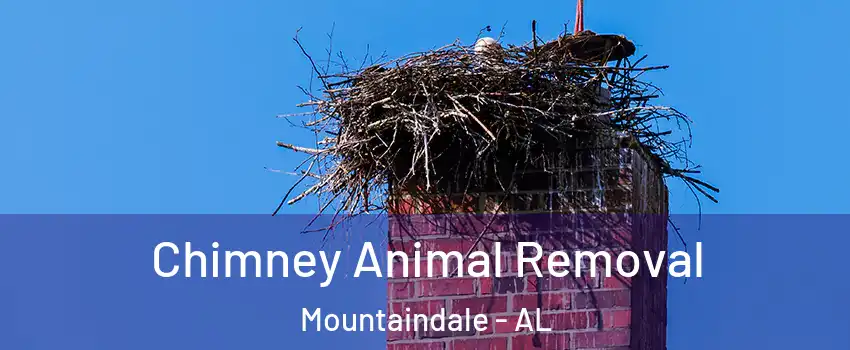 Chimney Animal Removal Mountaindale - AL