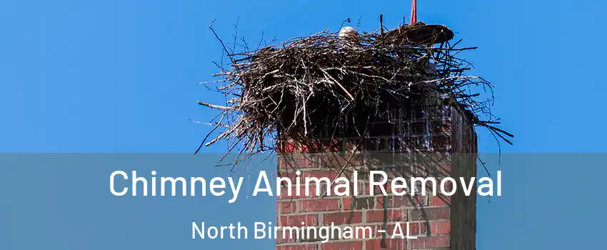 Chimney Animal Removal North Birmingham - AL