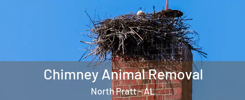Chimney Animal Removal North Pratt - AL