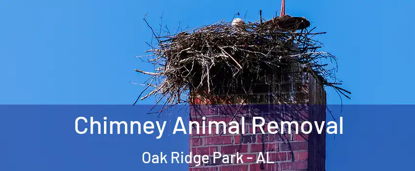 Chimney Animal Removal Oak Ridge Park - AL