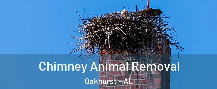 Chimney Animal Removal Oakhurst - AL