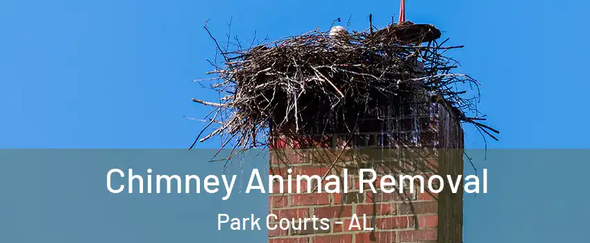 Chimney Animal Removal Park Courts - AL