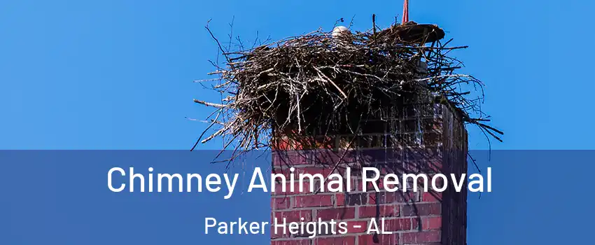 Chimney Animal Removal Parker Heights - AL