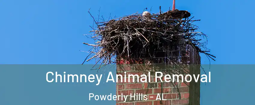 Chimney Animal Removal Powderly Hills - AL