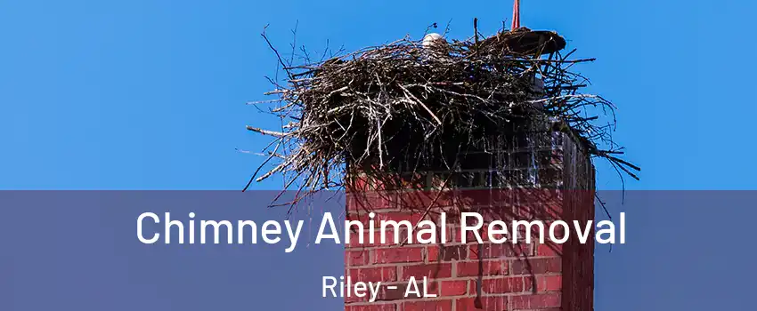 Chimney Animal Removal Riley - AL