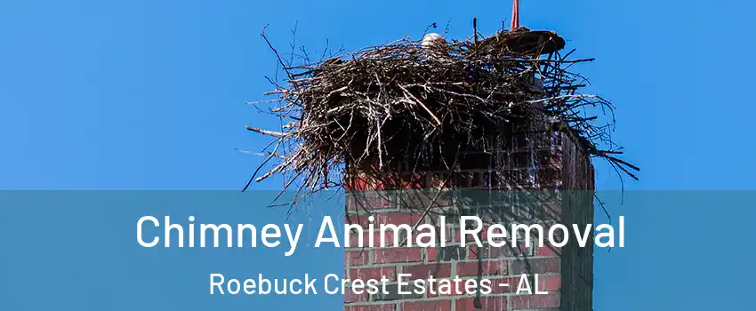 Chimney Animal Removal Roebuck Crest Estates - AL