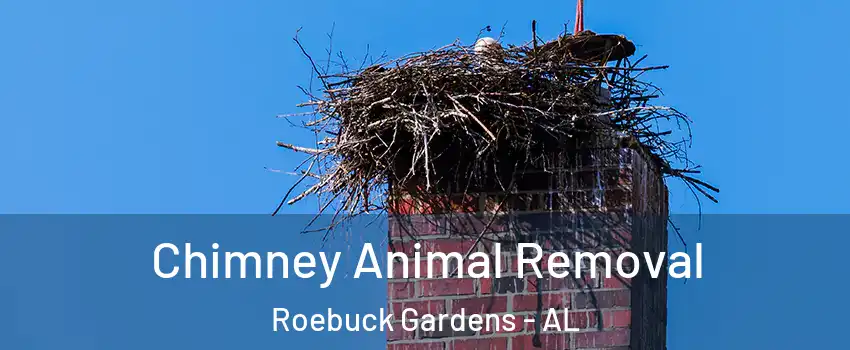Chimney Animal Removal Roebuck Gardens - AL