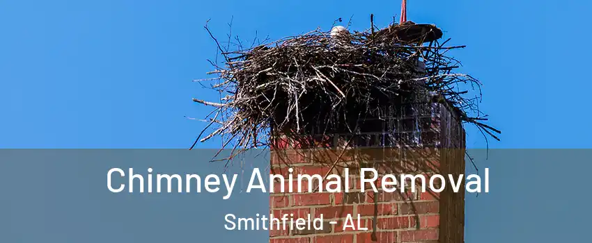 Chimney Animal Removal Smithfield - AL