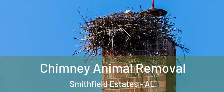 Chimney Animal Removal Smithfield Estates - AL