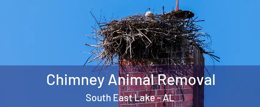 Chimney Animal Removal South East Lake - AL